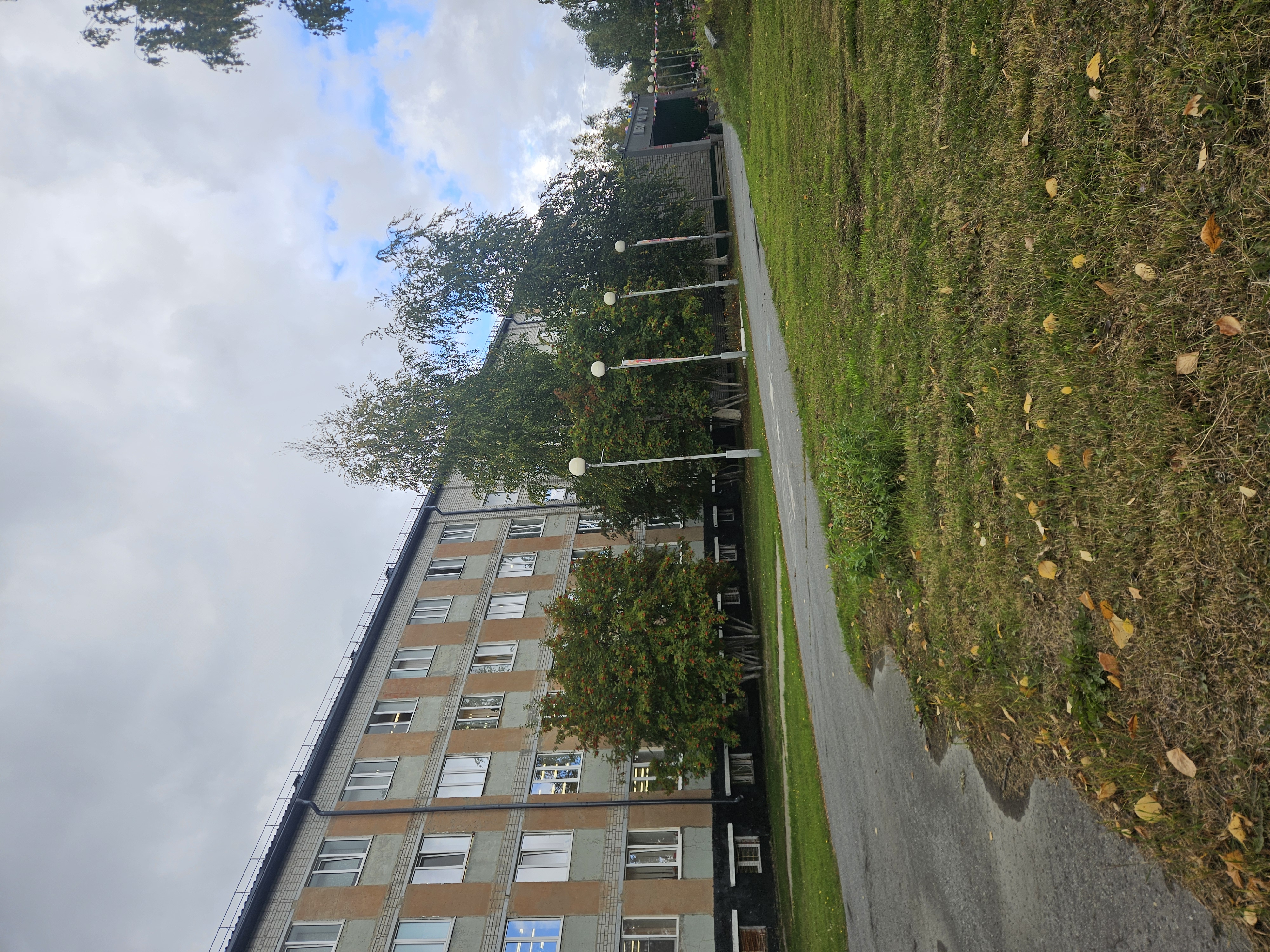 Парадный вход МБОУ &amp;quot;СШ №17&amp;quot;