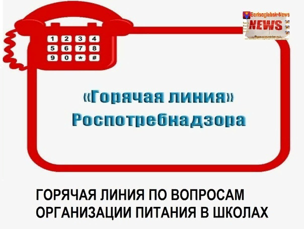 Информация о проведении «Горячей линии».
